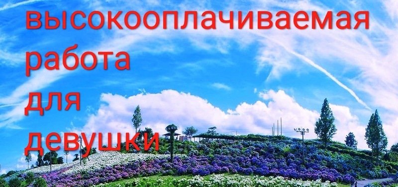 Высокооплачиваемая вакансия