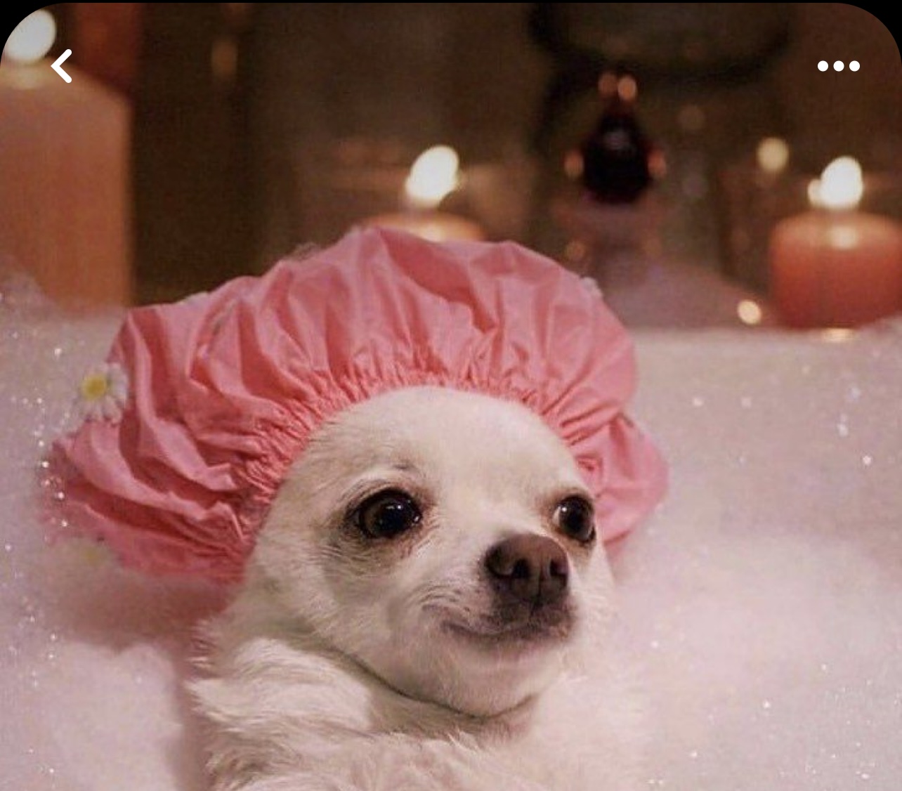 IMG_3735 Высокооплачиваемая вакансия