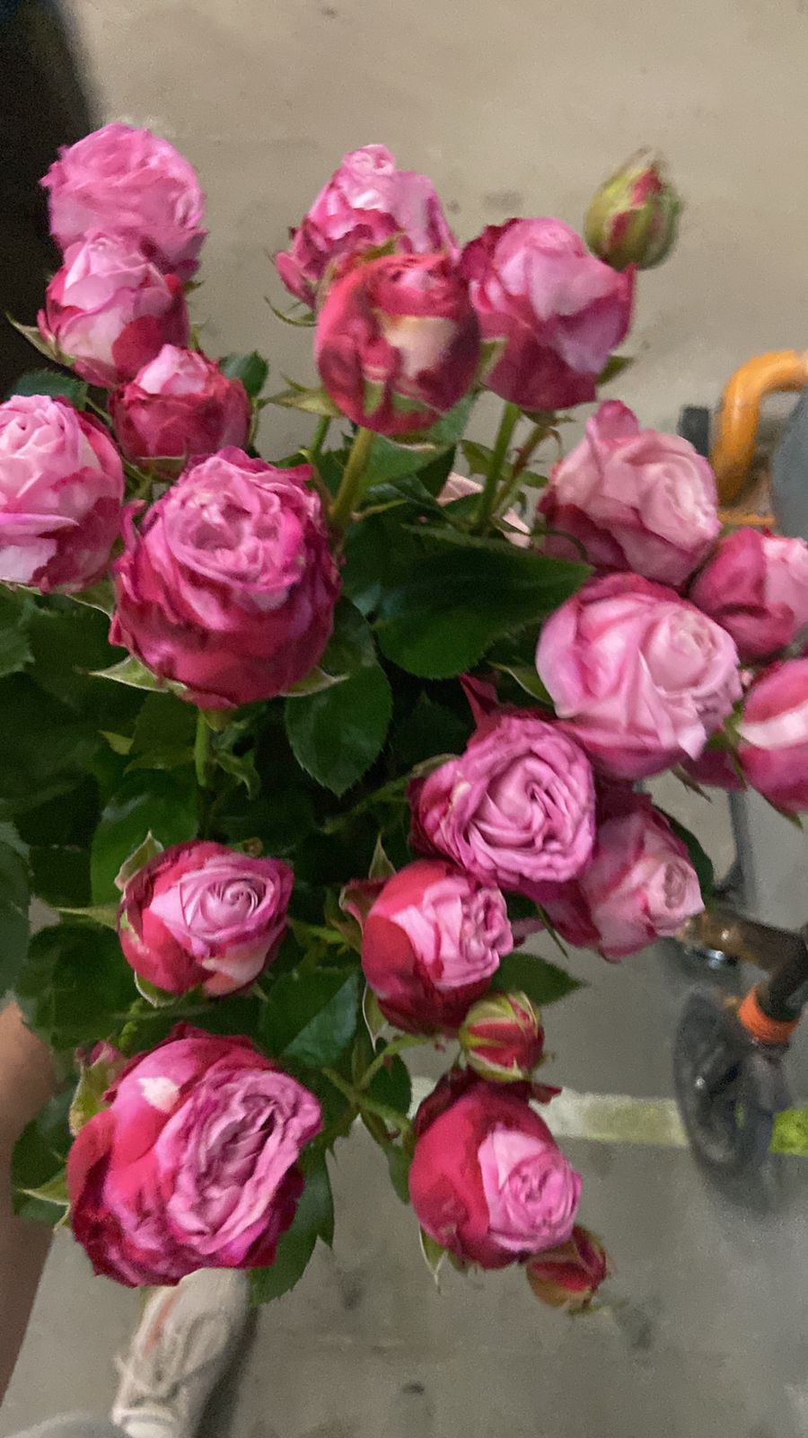 IMG-20231114-WA0000 Высокооплачиваемая вакансия